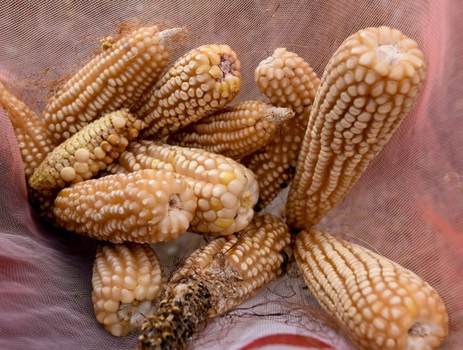 307