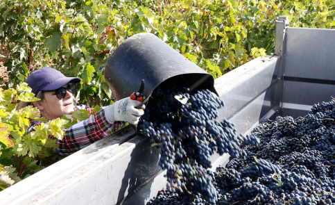 228